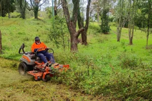 GNAC work crew mowing Roseberry Park - Githabul Name - Buduni