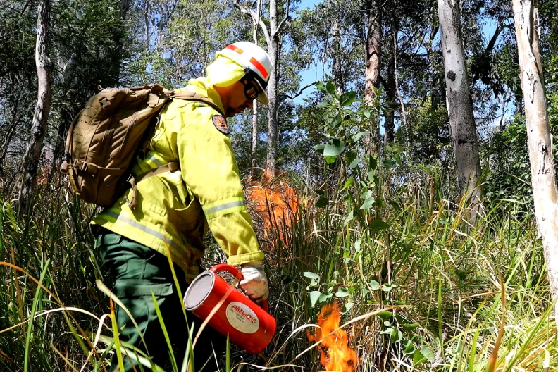 Grassy Spur Cultural Burn